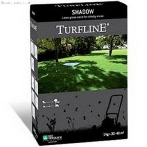 Газонная трава Шадоу Газонная трава Шадоу фото