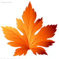 Осень-2023 🍁 БОЛЬШАЯ РАСПРОДАЖА 🍁 - Dolinasad.by