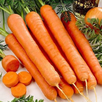 Морковь Тушон фото