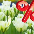 ⚡ОСЕНЬ 2022. SALE! -50%⚡ - Dolinasad.by