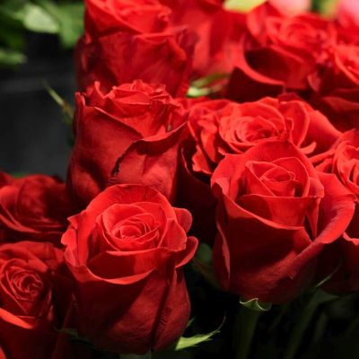 Роза Фридом - Dolina-Sad.Ru