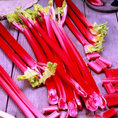 Ревень Виктория Ревень Виктория фото