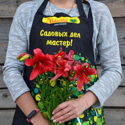 Лилия Перл Лорэйн Лилия Перл Лорэйн - Dolina-Sad.Ru