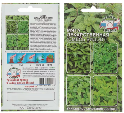 Мята лекарственная смесь сортов Мята лекарственная смесь сортов фото