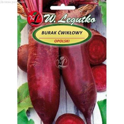 Свекла Опольская (Польша) фото