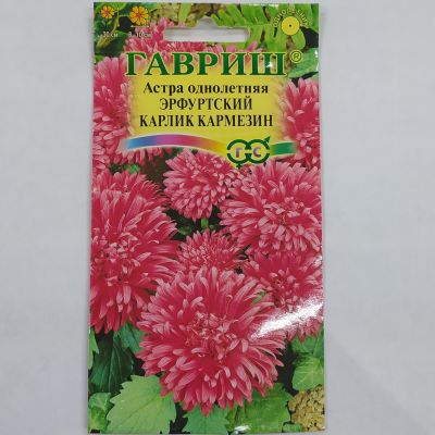 Астра Эрфуртский Карлик Кармезин Астра Эрфуртский Карлик Кармезин - Dolina-Sad.Ru