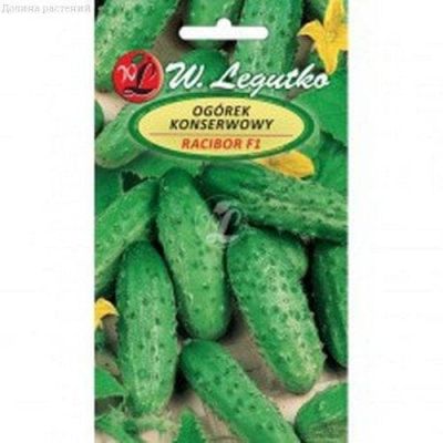 Огурец Рацибор (Польша) Огурец Рацибор (Польша) фото