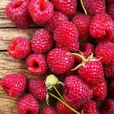 Малина Евразия/Ремонтантная фото